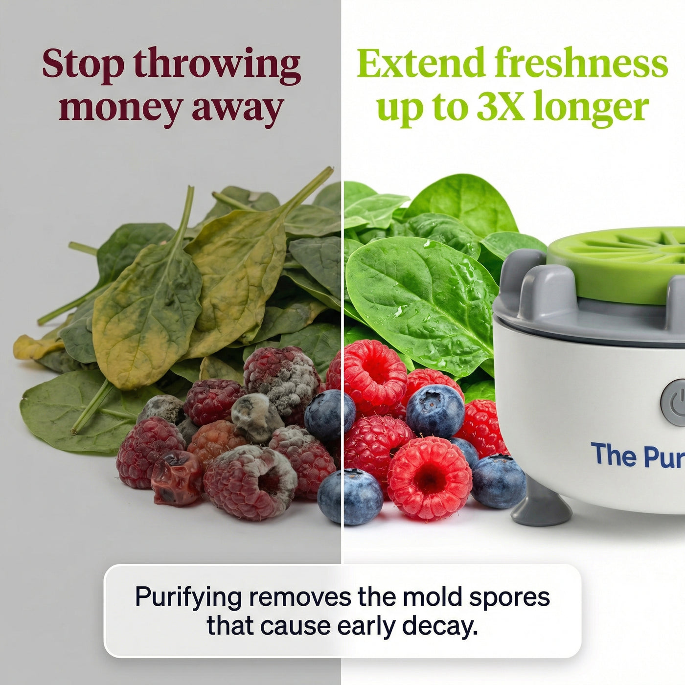The Pure Fresh Official